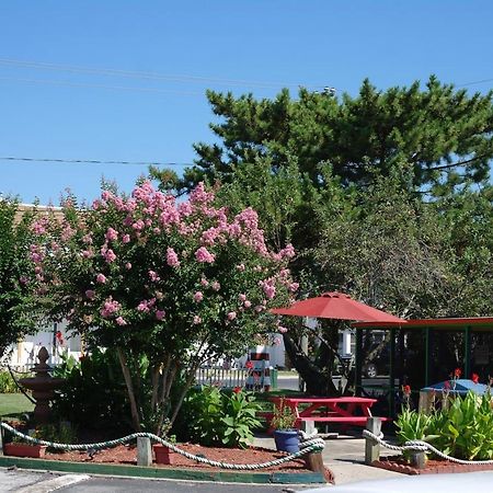 צ'ינקוטיג The Lighthouse Inn מראה חיצוני תמונה