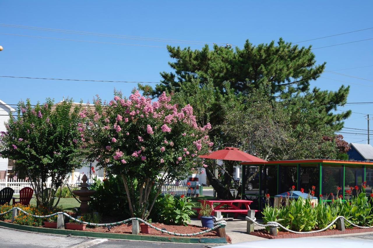 צ'ינקוטיג The Lighthouse Inn מראה חיצוני תמונה